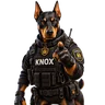 Knox